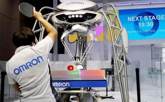 聚焦進博會 三成參展企業來自“一帶一路”沿線，共繪經貿合作新圖景